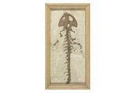 F 08435
<br/>
<br/>
<em></em>